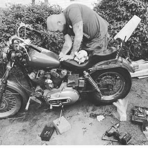 Meet your Posher, Dakota